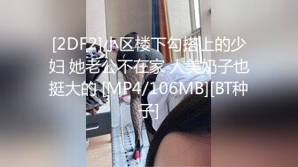 [2DF2]小区楼下勾搭上的少妇 她老公不在家 人美奶子也挺大的 [MP4/106MB][BT种子]