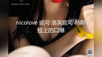 nicolove 妮可·洛芙妮可 特斯拉上的口爆