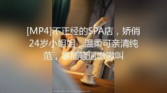 [MP4]不正经的SPA店，娇俏24岁小姐姐，温柔可亲清纯范，暴插骚逼嗷嗷叫