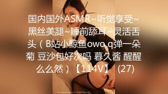 国内国外ASMR~听觉享受~黑丝美腿~睡前舔耳~灵活舌头（B站小鲸鱼owo q弹一朵菊 豆沙包好次吗 暮久酱 醒醒 么么然）【114V】  (27)