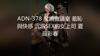 ADN-378 魔鏡會議室 羞恥與快感 沉溺SEX的女上司 夏目彩春