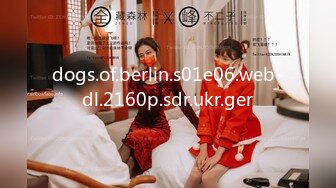 dogs.of.berlin.s01e06.web-dl.2160p.sdr.ukr.ger