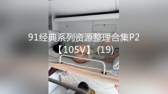 91经典系列资源整理合集P2【105V】 (19)