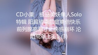 CD小熏✨ 极品美妖单人Solo特辑 阳具骑乘后庭爽倍快乐 前列腺高潮寸止快感崩坏 沦陷高潮上头1 (3)