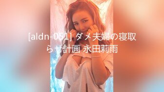 [aldn-051] ダメ夫婦の寝取らせ計画 永田莉雨