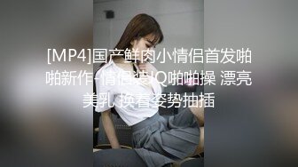 [MP4]国产鲜肉小情侣首发啪啪新作-情侣装JQ啪啪操 漂亮美乳 换着姿势抽插