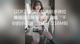 [2DF2]中国大奶美妖多体位爆操岛国妹子 爽的直喊“干你的小骚逼” [MP4/216MB][BT种子]