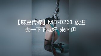 【麻豆传媒】MD-0261 放进去一下下就好-宋南伊