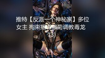 推特【反派一个神秘家】多位女主 拘束捆绑爆菊调教毒龙  (3)