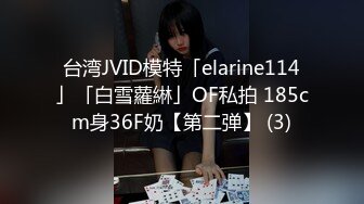 台湾JVID模特「elarine114」「白雪蘿綝」OF私拍 185cm身36F奶【第二弹】 (3)