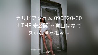 カリビアンコム 090320-001 THE 未公開 ～青山はなでヌかなきゃ損々～