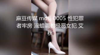 麻豆传媒 mdsj 0005 性犯罪者牢房 滴蜡调教极恶女犯 艾秋