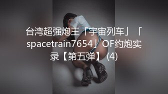 台湾超强炮王「宇宙列车」「spacetrain7654」OF约炮实录【第五弹】 (4)