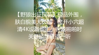 【野狼出征探花】极品外围，肤白貌美大长腿，岔开小穴超清4K设备偷拍，害羞啪啪时关灯娇喘值得一听