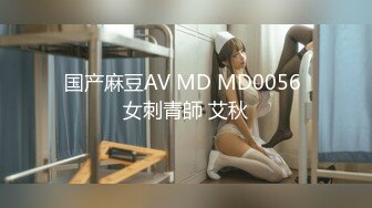 国产麻豆AV MD MD0056 女刺青師 艾秋