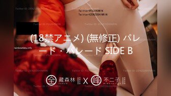 (18禁アニメ) (無修正) パレード・パレード SIDE B